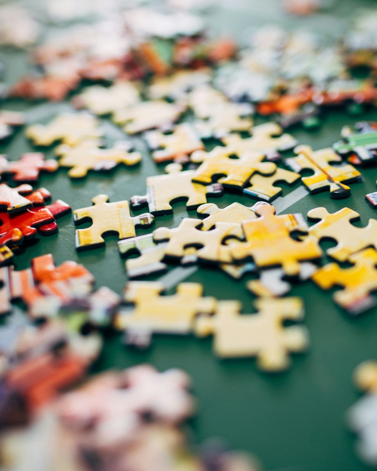 Foto von Nathalia Segato auf Unsplash